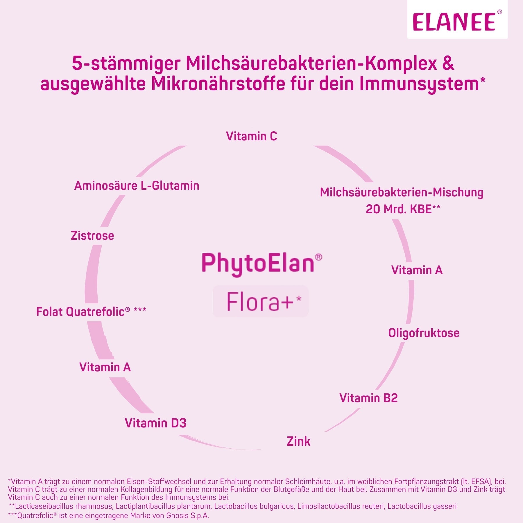 elanee-phytoelan-flora-nahrungserg-nzung-milchs-urebakterien-komplex image 7
