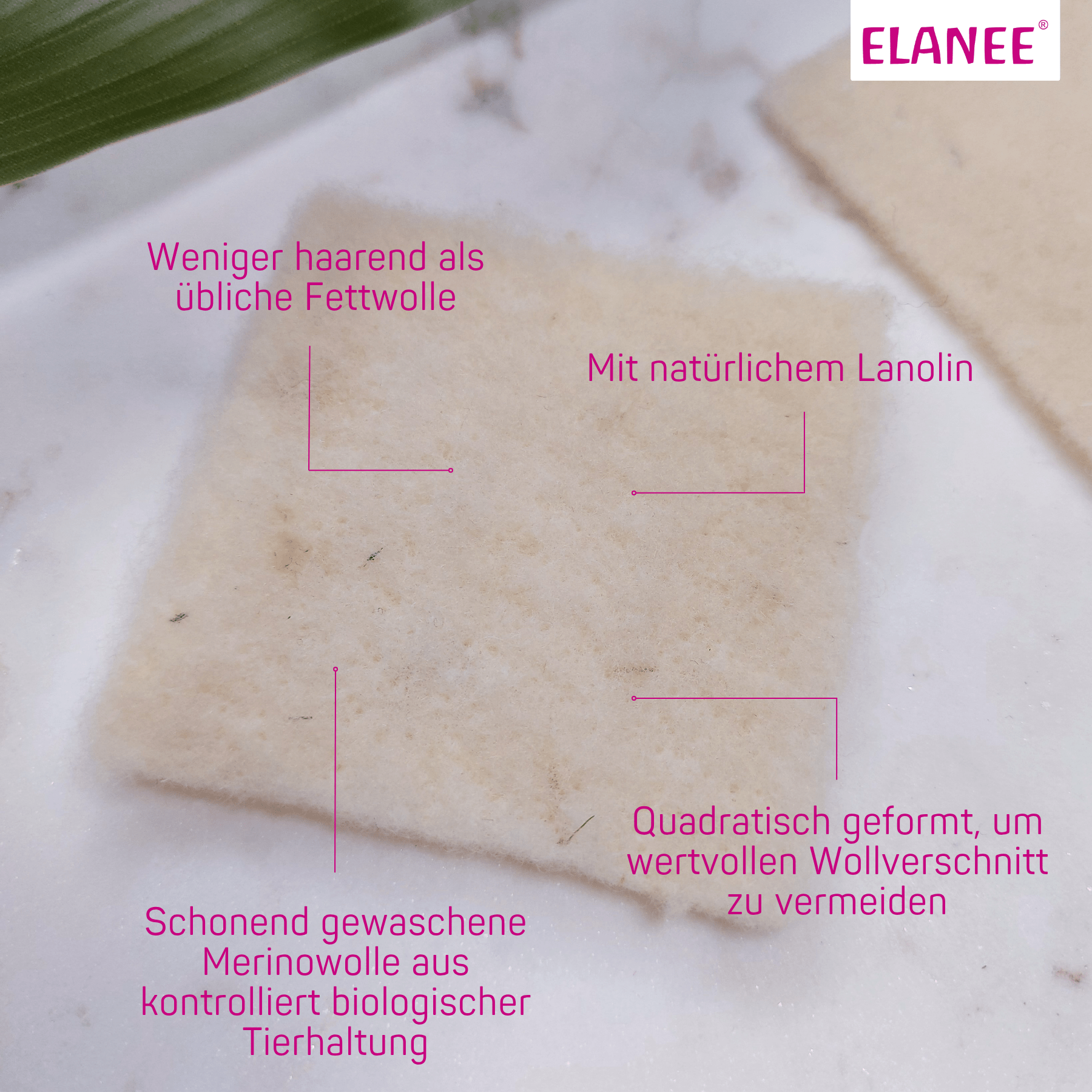 elanee-wollpads-aus-merino-schafwolle-brustwarzenschutz image 5