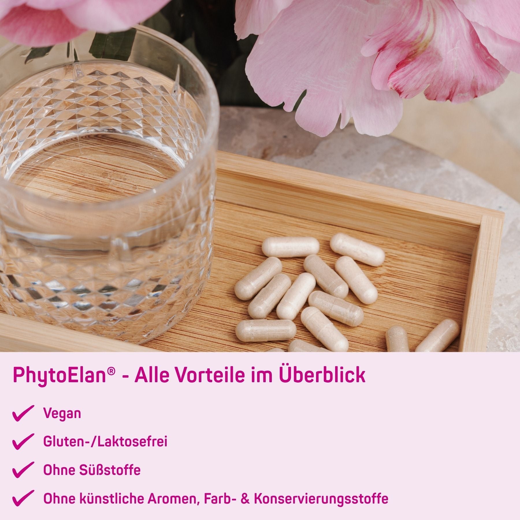 elanee-phytoelan-flora-nahrungserg-nzung-milchs-urebakterien-komplex image 5