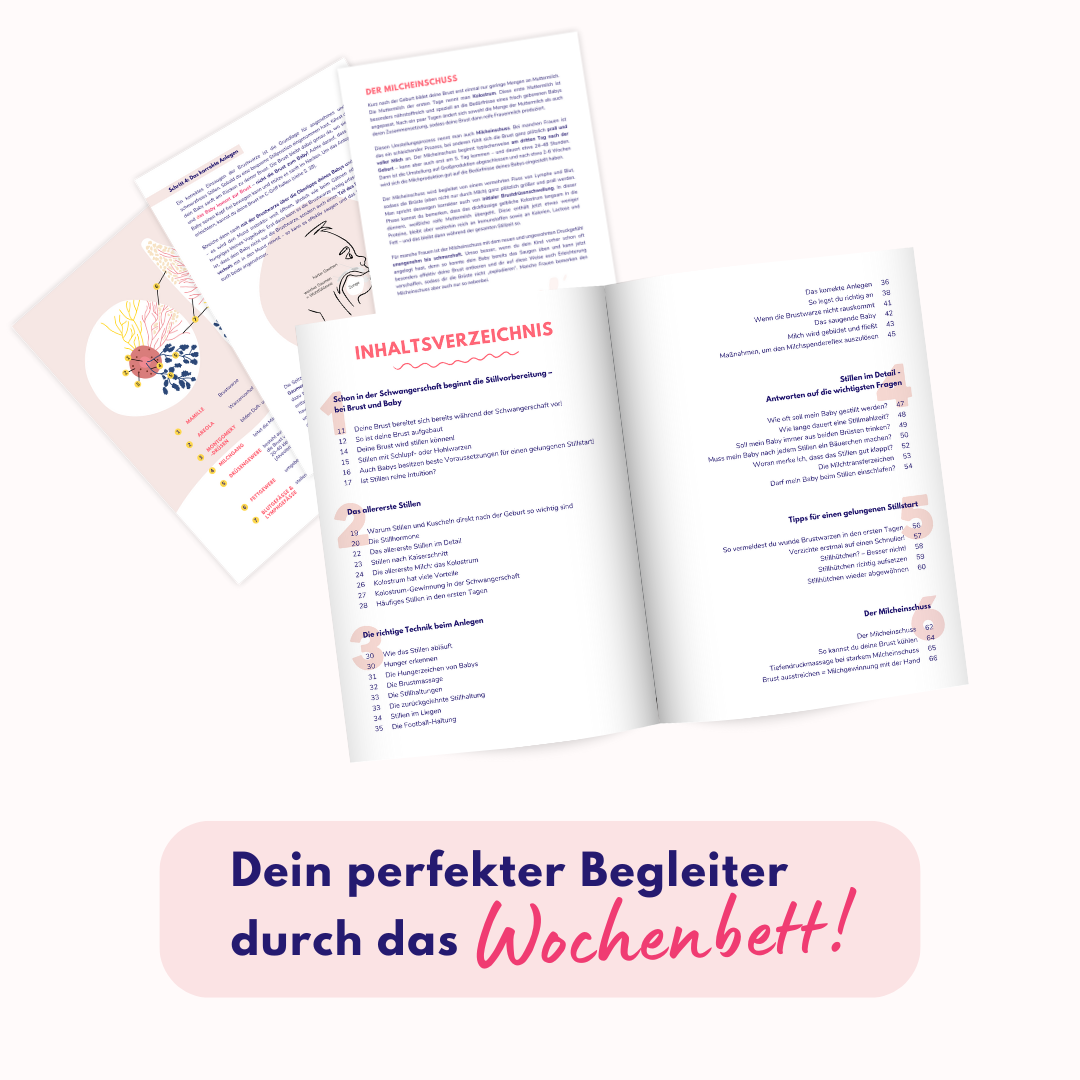 ardo-ratgeber-stillstart-selbstbewusst-stillen-von-anfang-an image 2